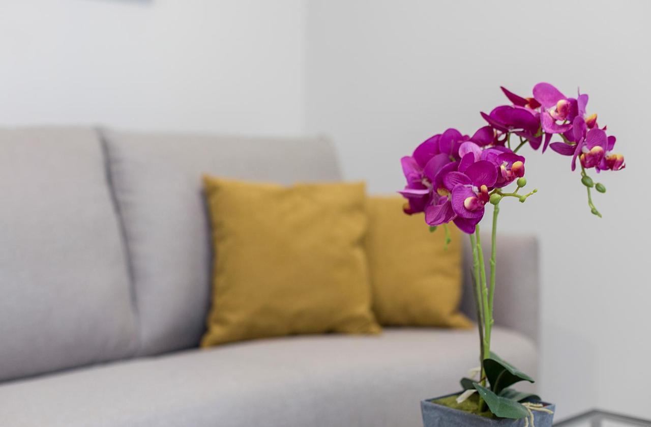Lala Suites Corredera Centro Χέρεζ Εξωτερικό φωτογραφία